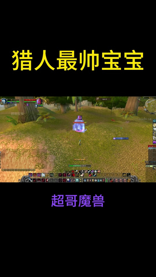 魔兽世界9.0猎人宝宝怎么改名字
