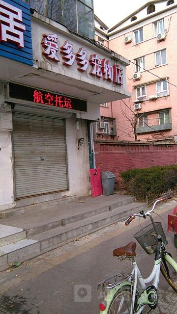 爱多多宠物店怎么样