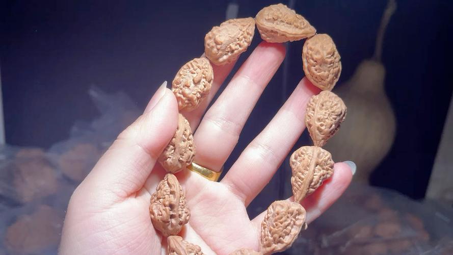 麒麟角500克的价格表