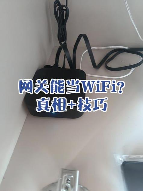上i站怎么提网速