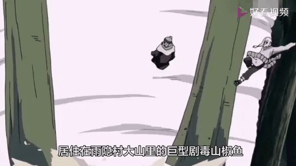 通灵兽排行