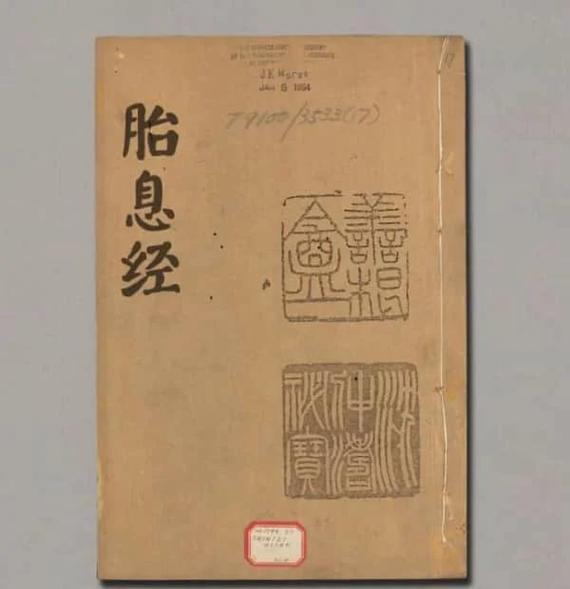 红楼:魔狱玄胎经