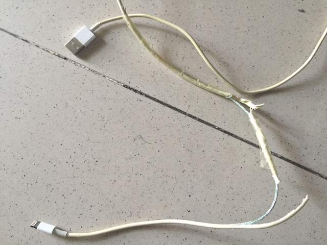 手机里的一根黑线断了