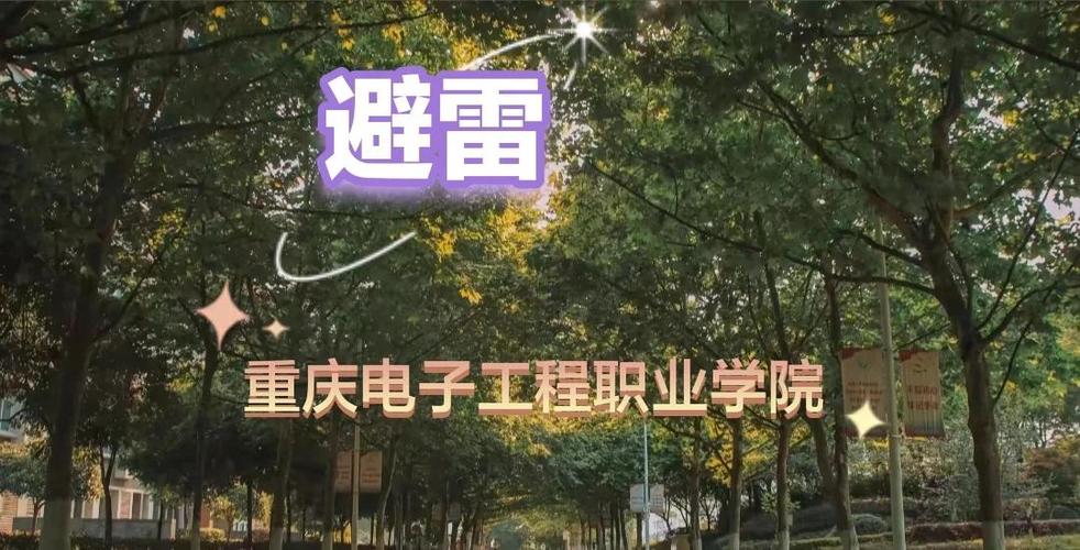 重庆电子工程智慧校园平台