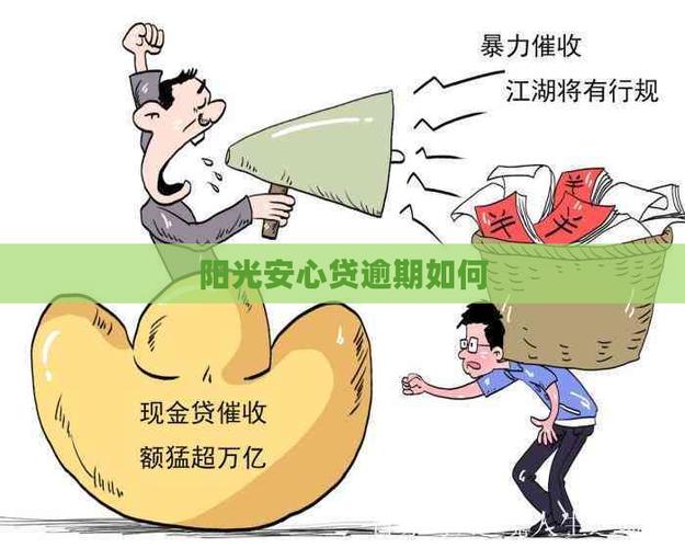 阳光安心贷不还会怎么样