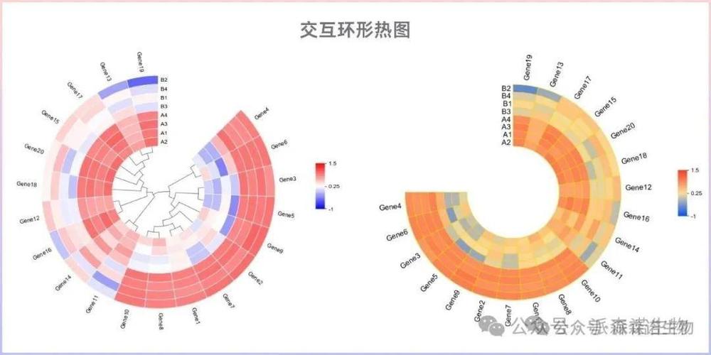 组合学及组合的生成器缩略图