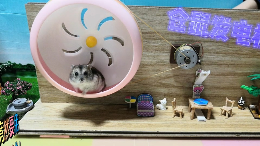仓鼠为何会发电