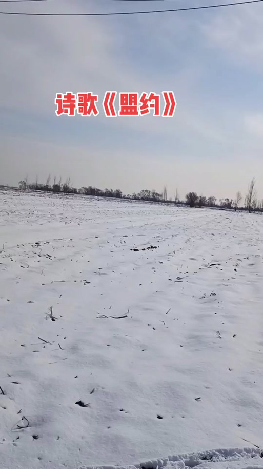 诗歌盟约伴奏mp3