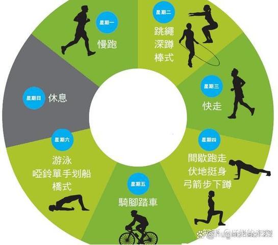 无氧、有氧、燃脂区别