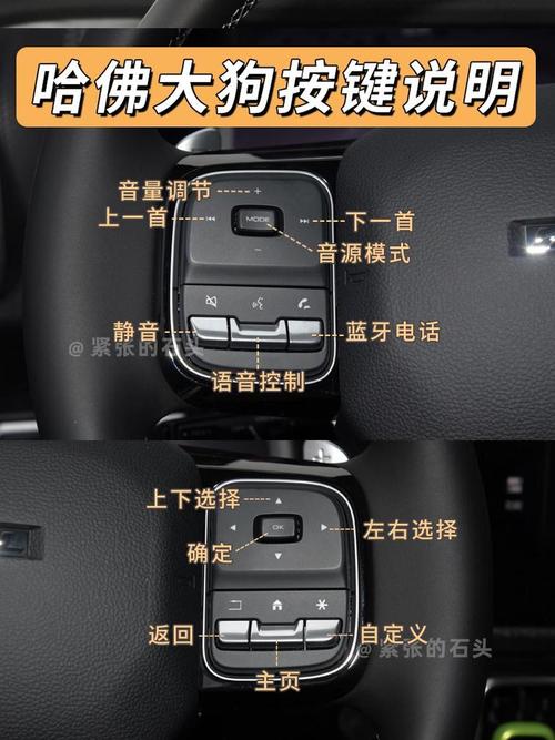 哈佛大狗采用什么变速箱