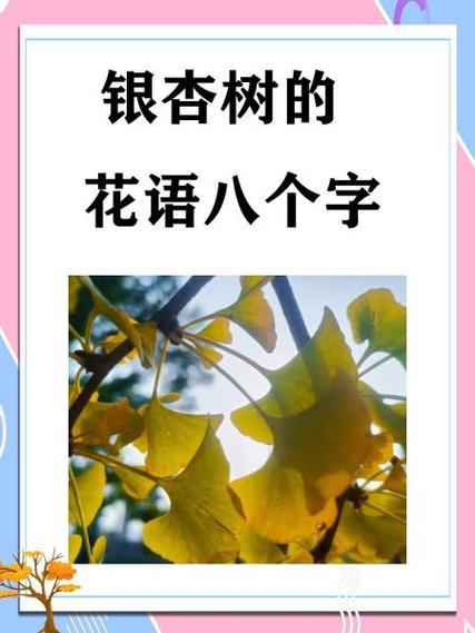 银杏叶有什么象征意义