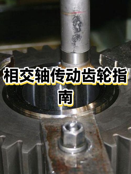 两个齿轮在同一根轴上