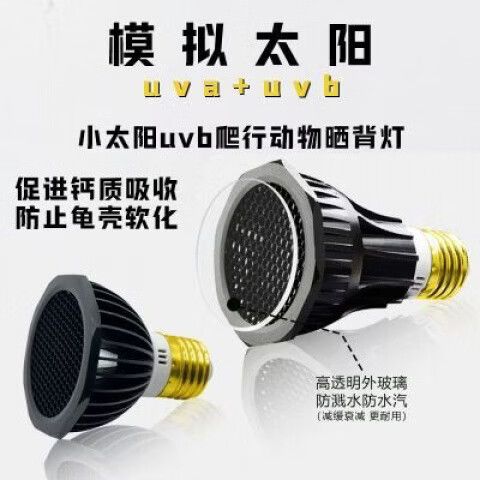 20多元的晒背灯有用吗