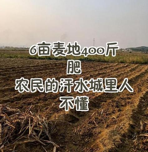 我有六亩地种什么最挣钱