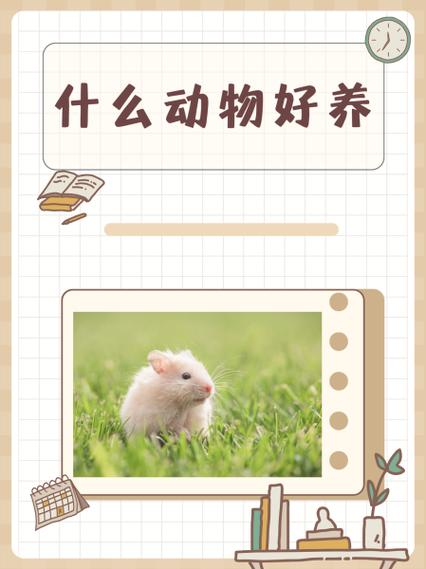 特养动物
