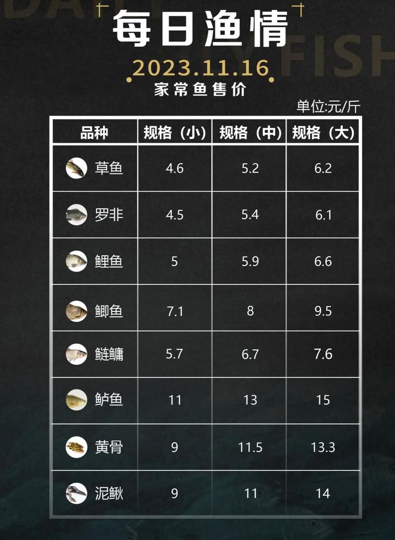 大家一天微鲤赚多少钱