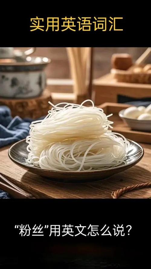粉丝英文叫什么