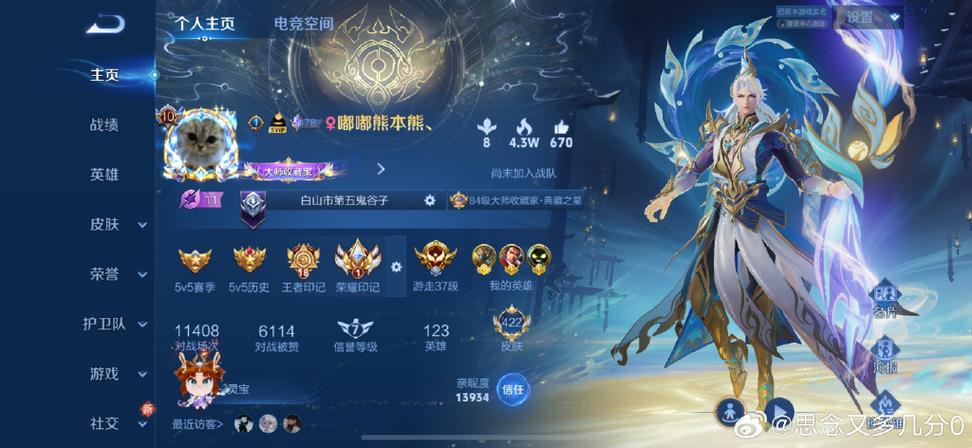 王者账号是什么图标