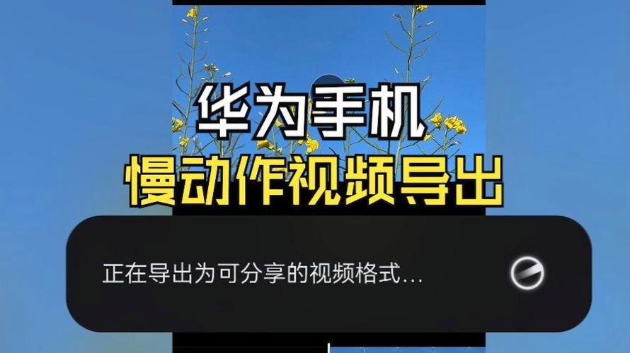 视频变成慢动作怎么改回正常