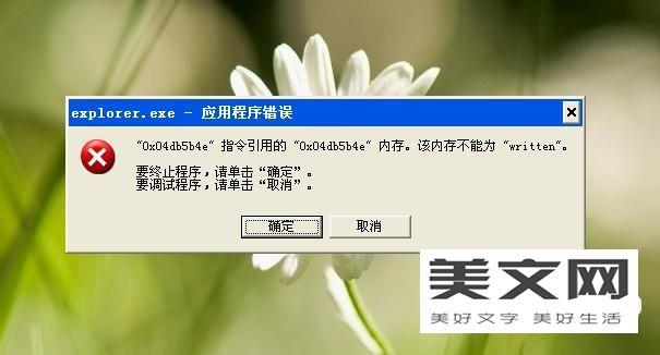 exeplorer.exe应用程序错误该内存不能为w