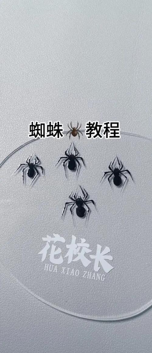 画蜘蛛的画法