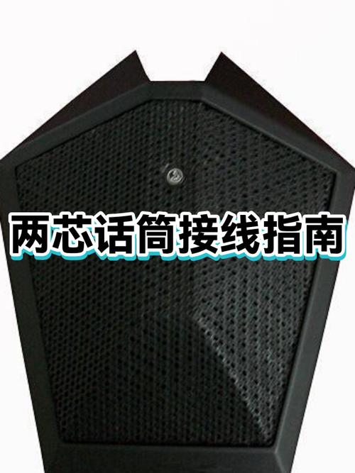 话筒线插头要两芯线吗