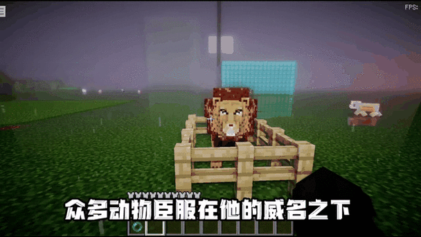 mc怎么防止家里生成动物