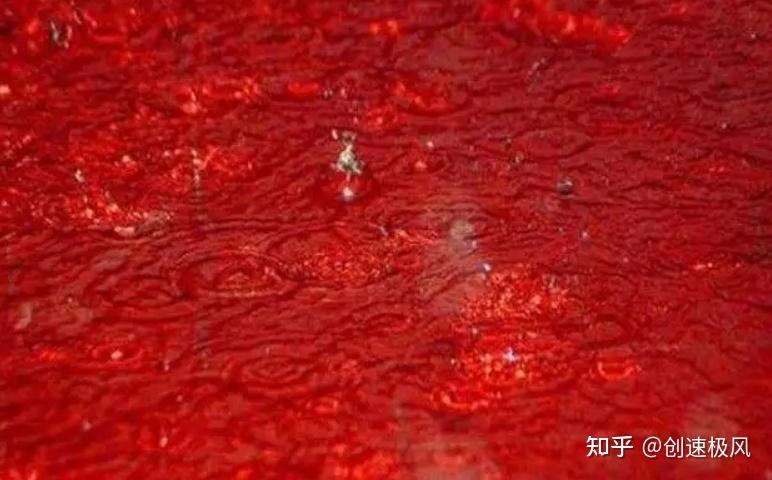 水变红色是什么原因