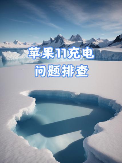 苹果手机为什么充不上电