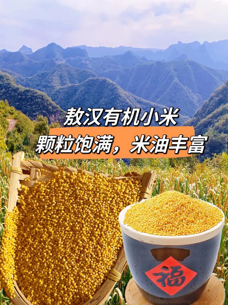 我的世界下载小米
