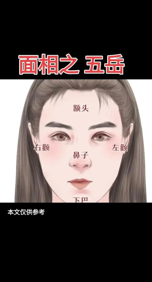 张含韵的面相分析游戏截图