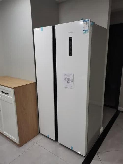 西门子冰箱用了20年还能用吗
