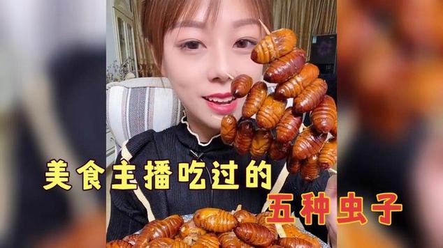 虫小虫直播最新版