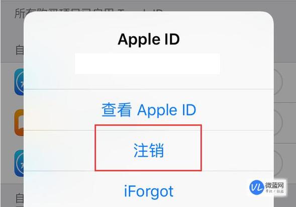苹果id账号一般是什么形式的