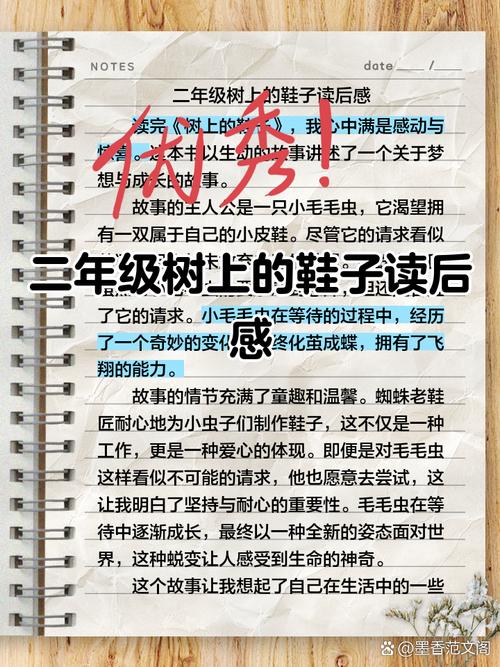 树上的鞋子读后感