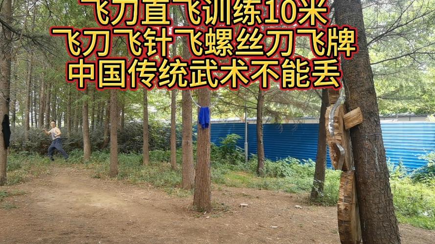 飞刀直飞10米要练多久