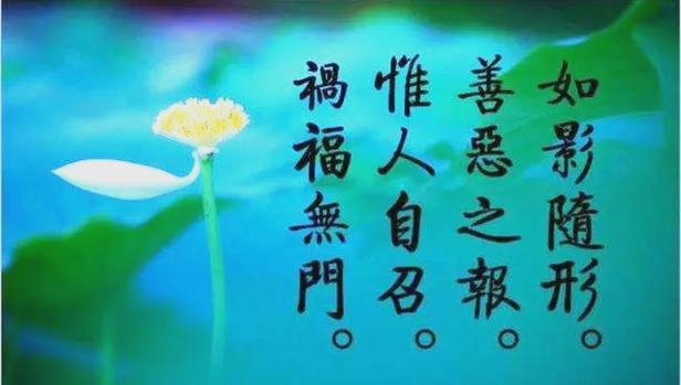 感情的业力轮回报应