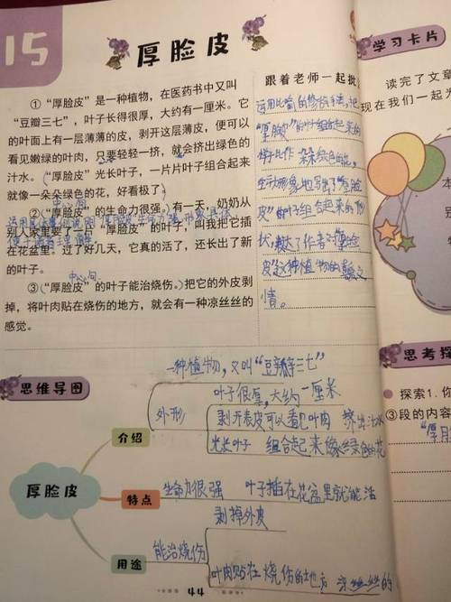 恐龙笨笨的阅读答案