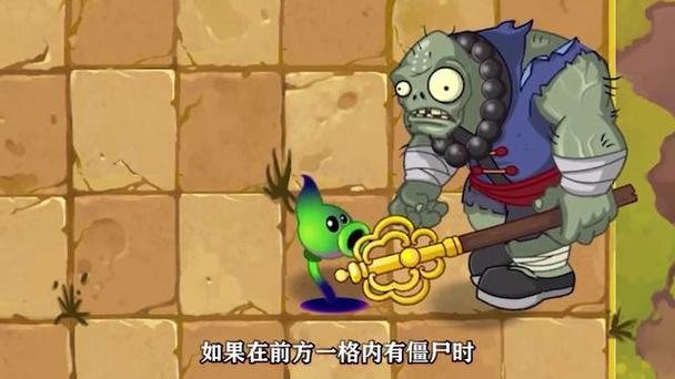 豌豆风之殿字幕组