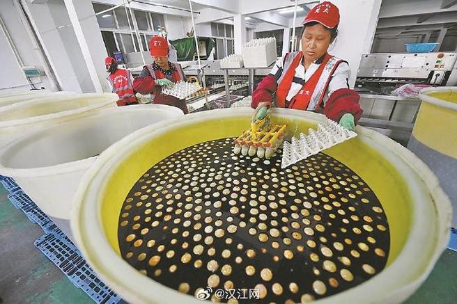 开小型皮蛋厂赚钱吗