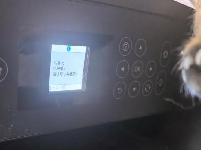 打印机有只纸显示缺纸截图