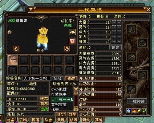 天龙八部宝宝裸资多少能上4000