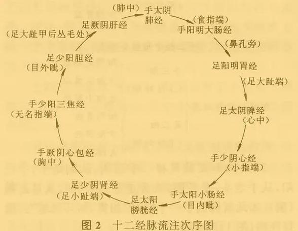 十二经络循行路线图游戏截图