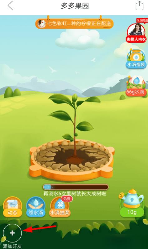 多多果园如何邀请好友种树