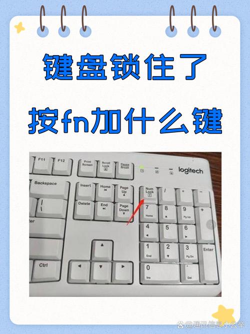 键盘锁住了按fn加什么键