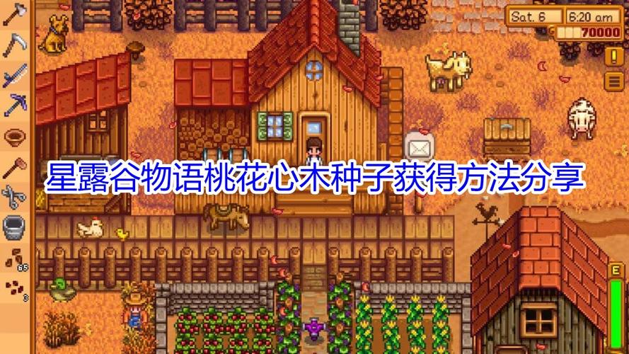 星露谷桃花心木种子怎么种