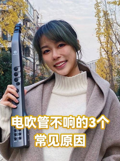 电吹管不吹仍然响什么原因