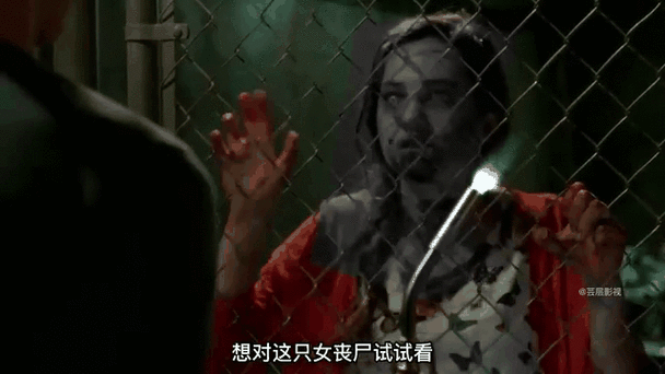 秘密基地躲丧尸视频截图