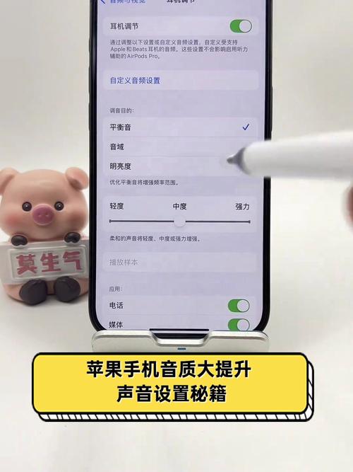 苹果手机声音选项在哪里