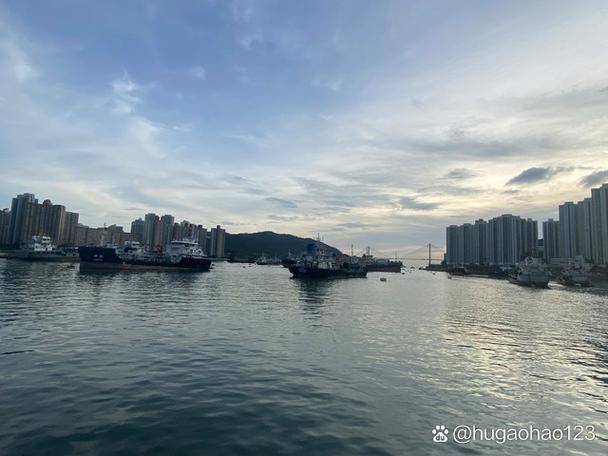 香港九龙荃湾英文